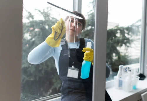 Nettoyage de vitres intérieures et extérieures à Brizambourg